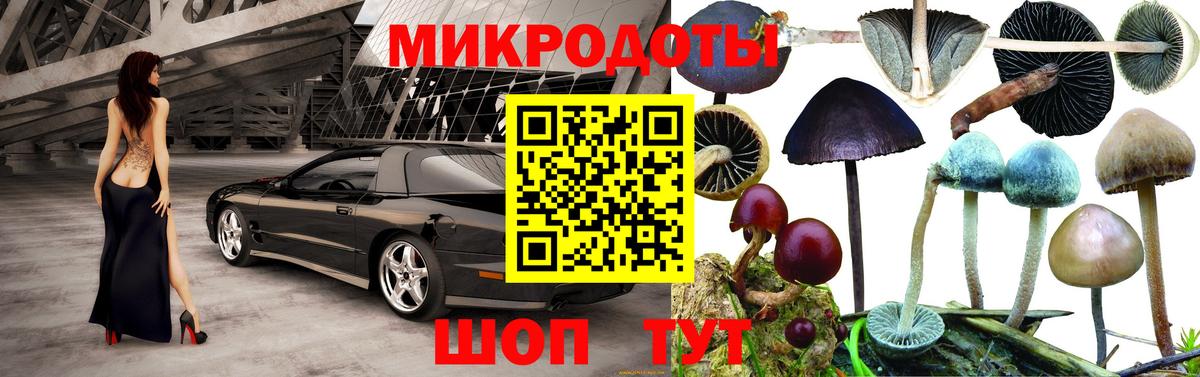 Псилоцибиновые грибы Cubensis  Вход с VPN  Узловая  Псилоцибиновые грибы мухоморы 