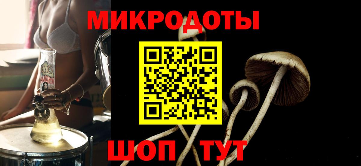 Галлюциногенные грибы мицелий Узловая